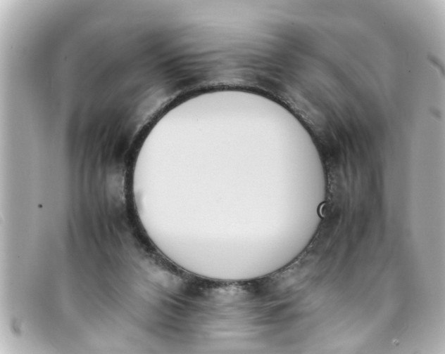 X0000093390112200710251250