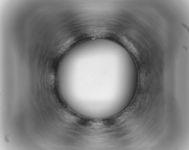 X0000093390113200710251250