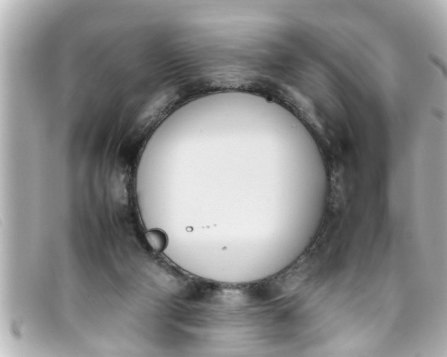 X0000093390114200710251250