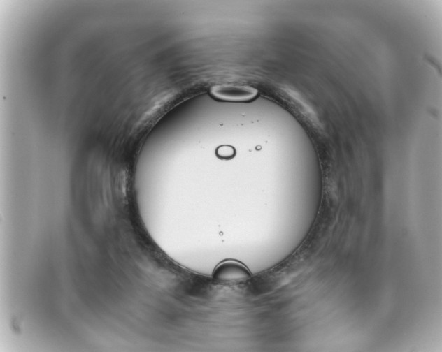 X0000093390115200710251250