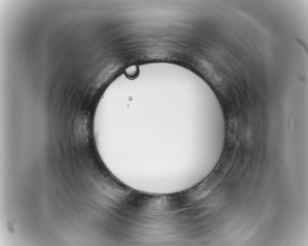 X0000093390116200710251250