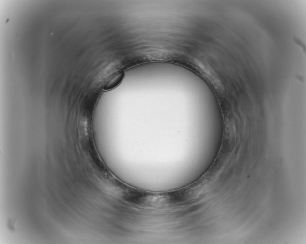 X0000093390117200710251250