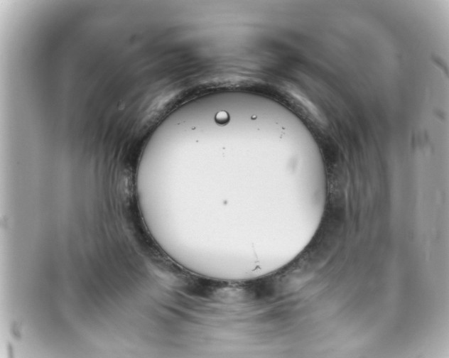 X0000093390119200710251250