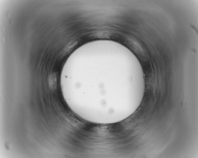 X0000093390120200710251250