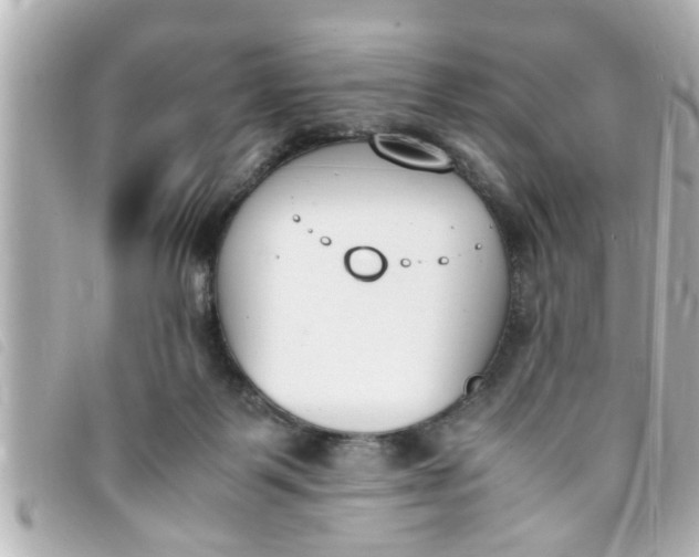 X0000093390123200710251249