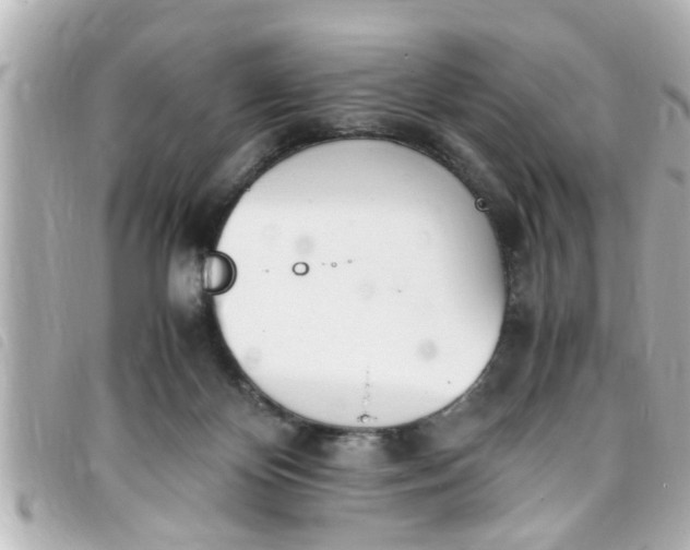 X0000093390124200710251249