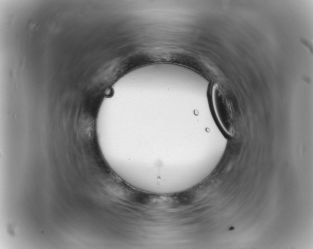 X0000093390125200710251249