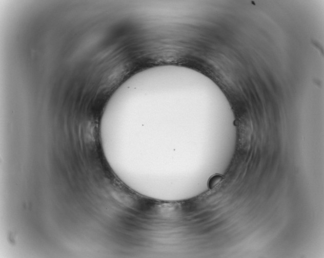 X0000093390126200710251249