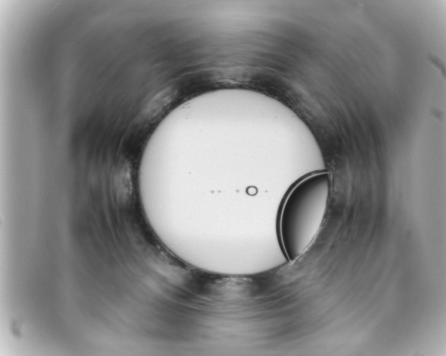 X0000093390128200710251249