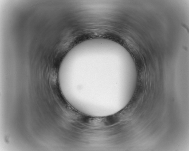 X0000093390129200710251249