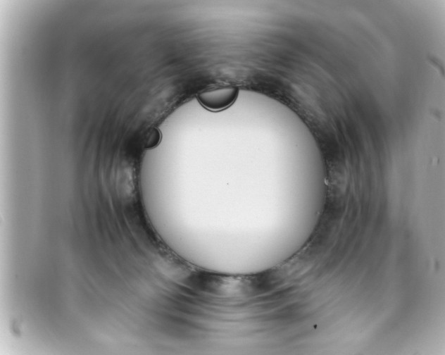 X0000093390130200710251249