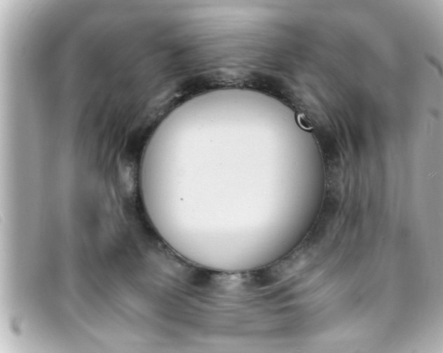 X0000093390131200710251249