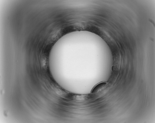 X0000093390134200710251249