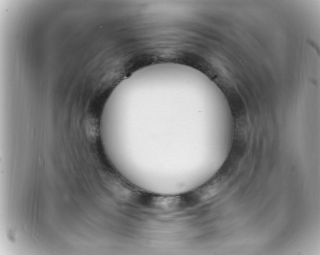 X0000093390135200710251249