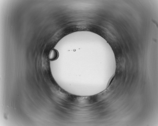 X0000093390136200710251249