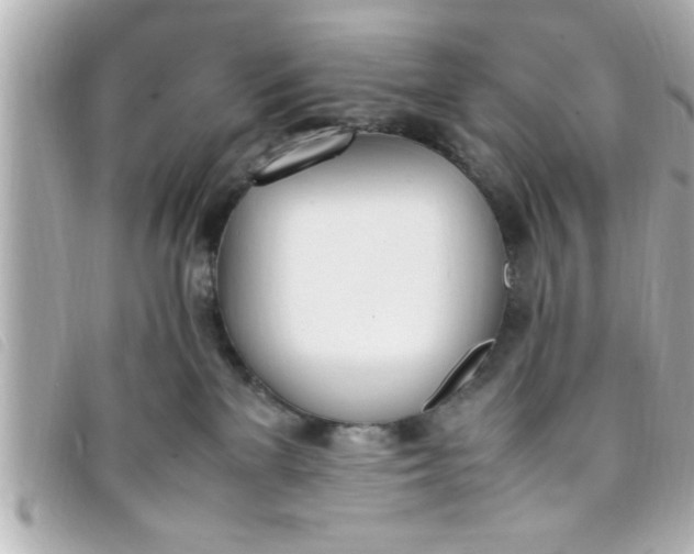 X0000093390137200710251249