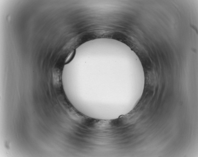 X0000093390138200710251249