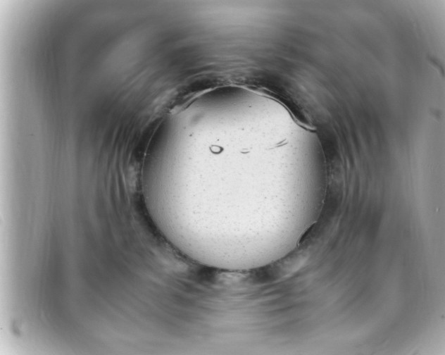 X0000093390139200710251249