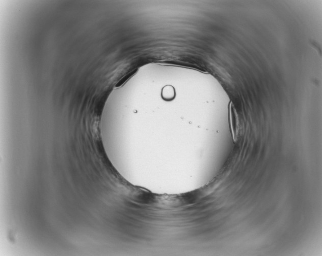 X0000093390141200710251249