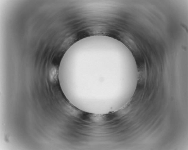 X0000093390142200710251249