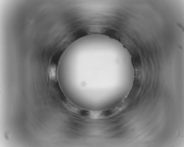 X0000093390143200710251249