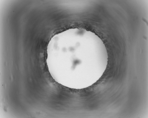 X0000093390144200710251249