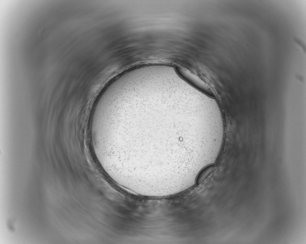 X0000093390145200710251249