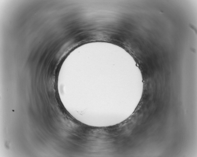 X0000093390146200710251249