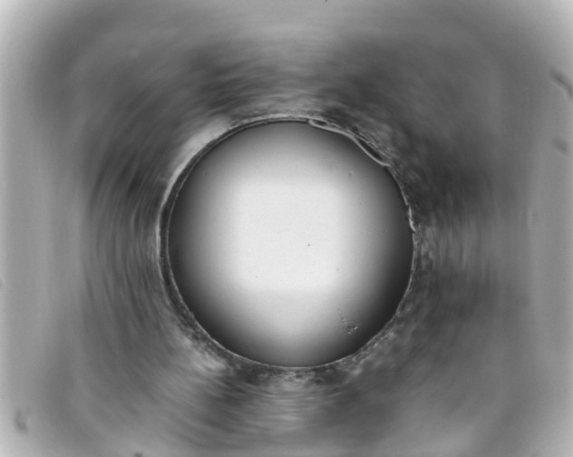 X0000093390148200710251249