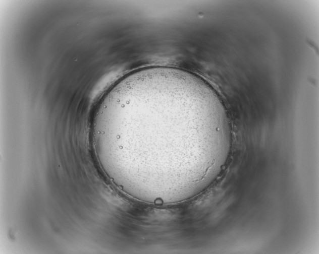 X0000093390149200710251249