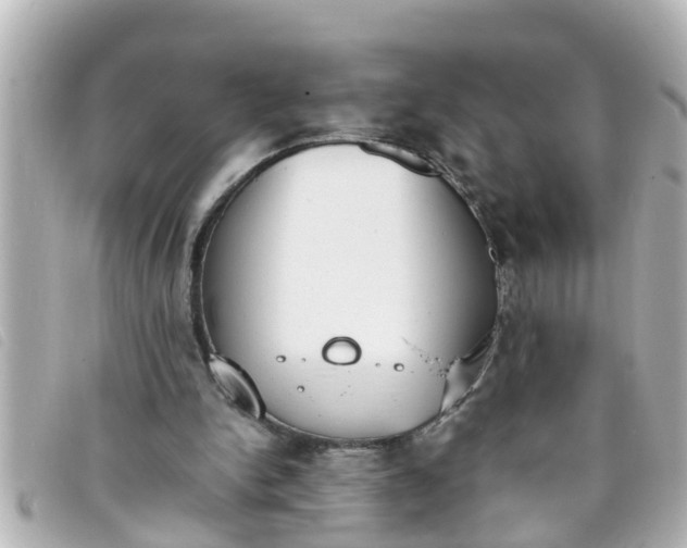 X0000093390150200710251249