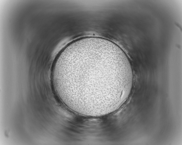 X0000093390151200710251249