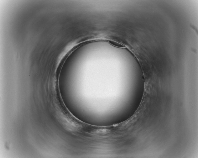 X0000093390152200710251249