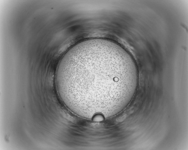 X0000093390153200710251249