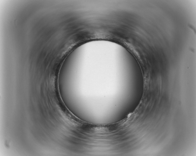 X0000093390154200710251249