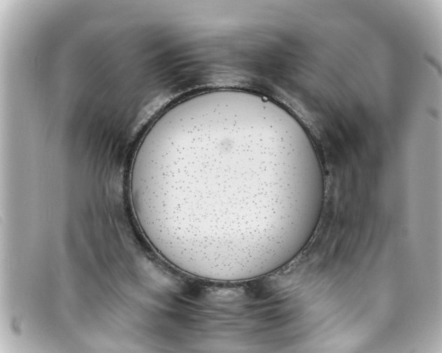 X0000093390155200710251249