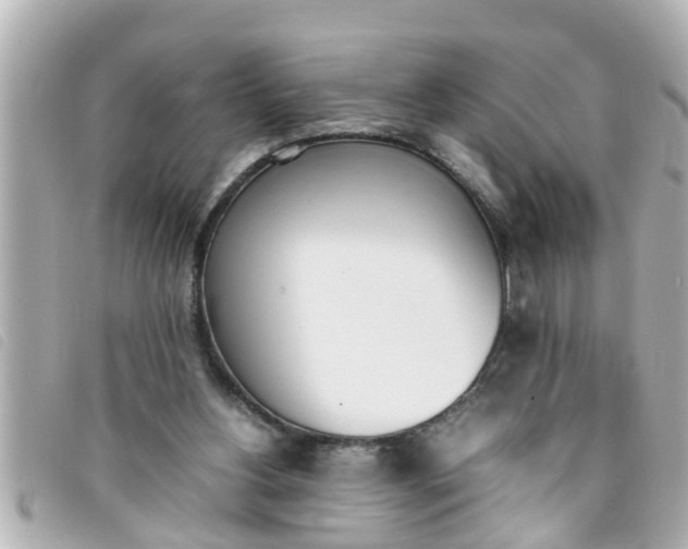 X0000093390156200710251249