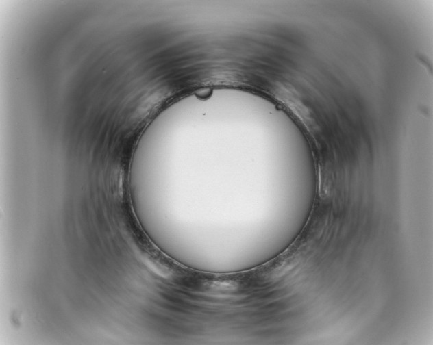 X0000093390157200710251249