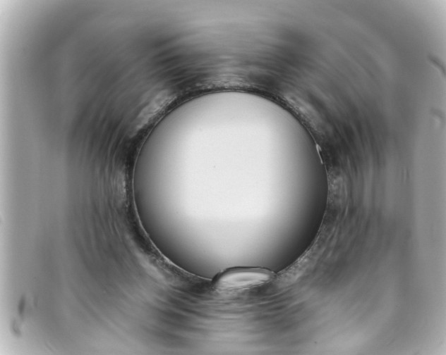 X0000093390158200710251249