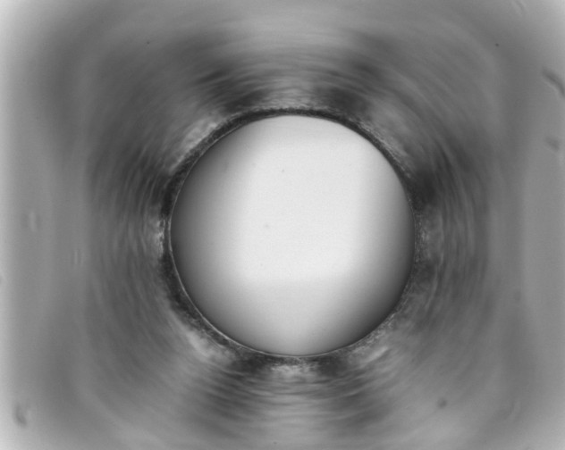 X0000093390160200710251249