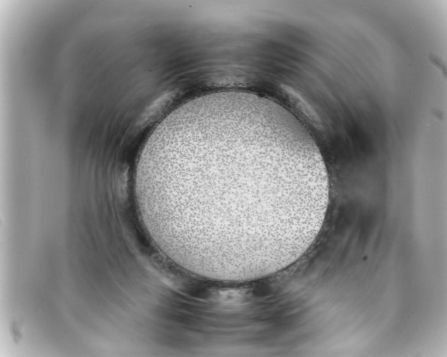 X0000093390163200710251249