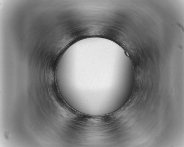 X0000093390164200710251249