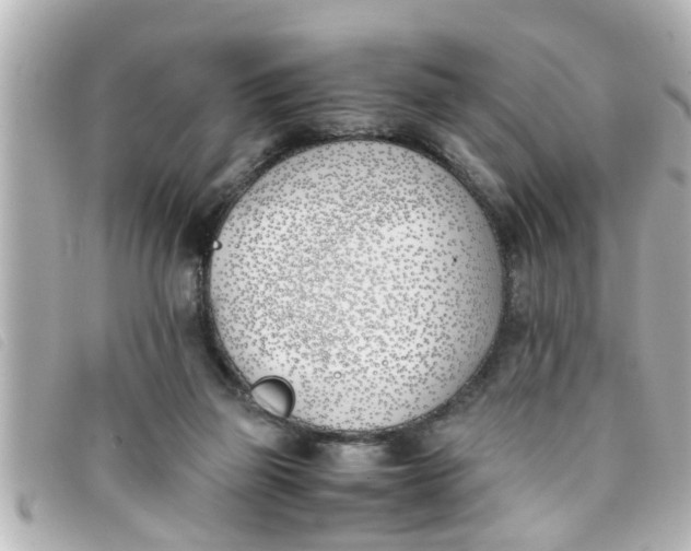 X0000093390165200710251249