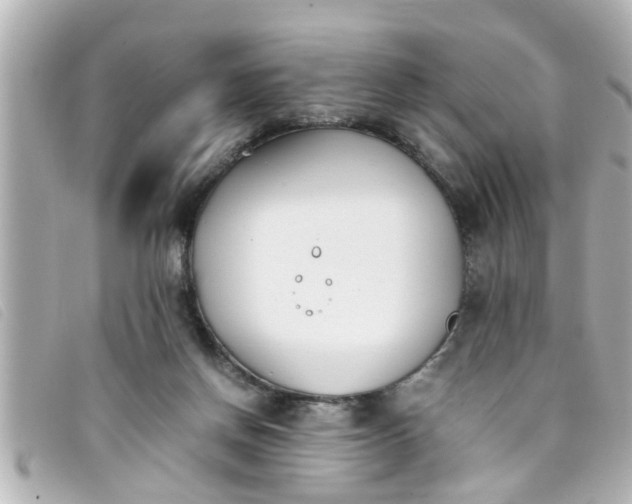 X0000093390166200710251249