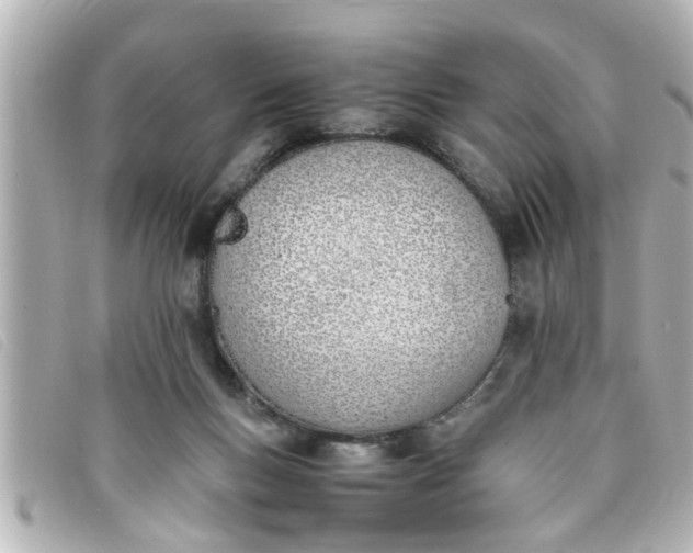 X0000093390167200710251249