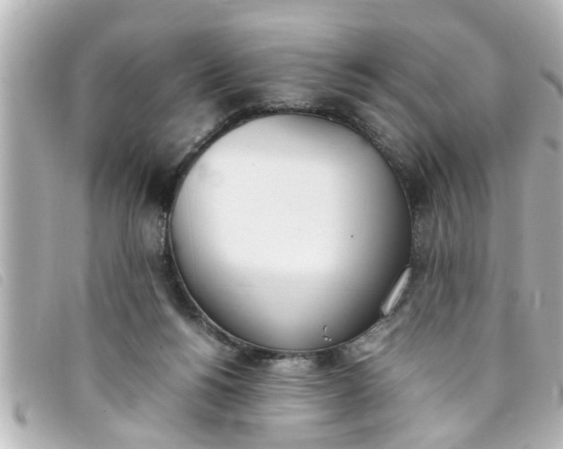 X0000093390168200710251249