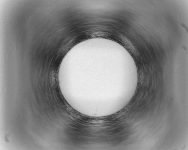 X0000093390169200710251249