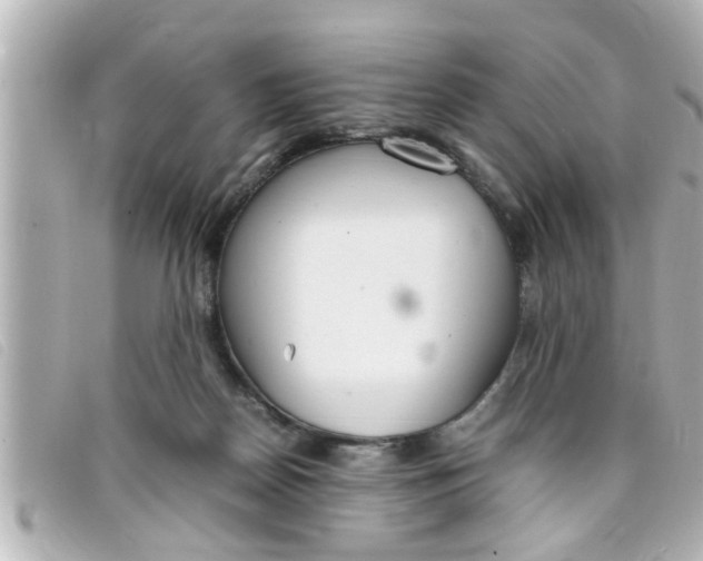 X0000093390170200710251249