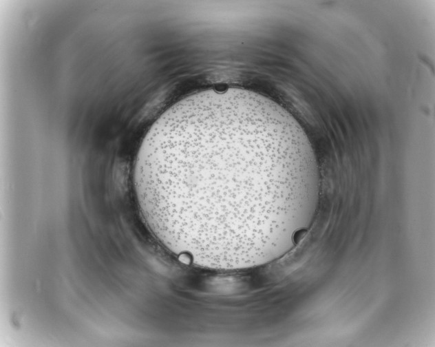 X0000093390171200710251249