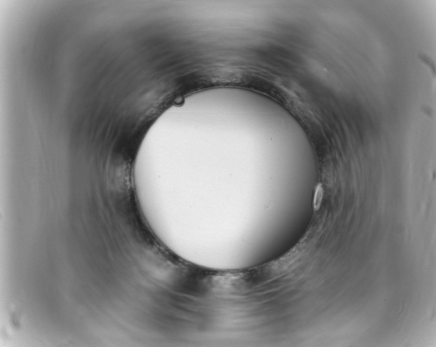 X0000093390172200710251249